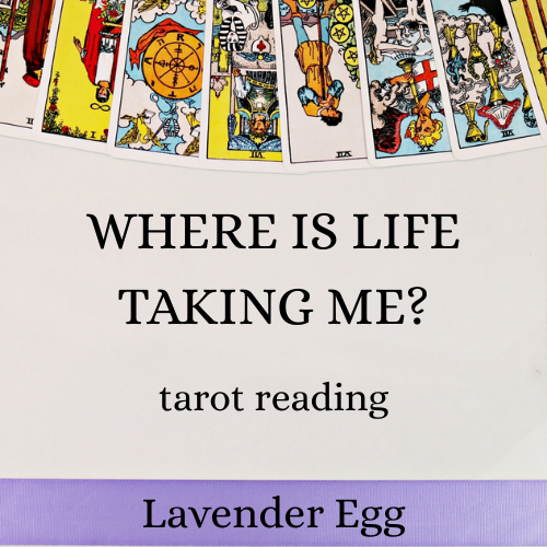 Where Is Life Taking Me? Tarot Reading
