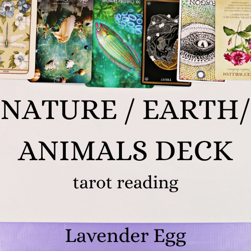 Nature / Earth / Animals Deck Reading