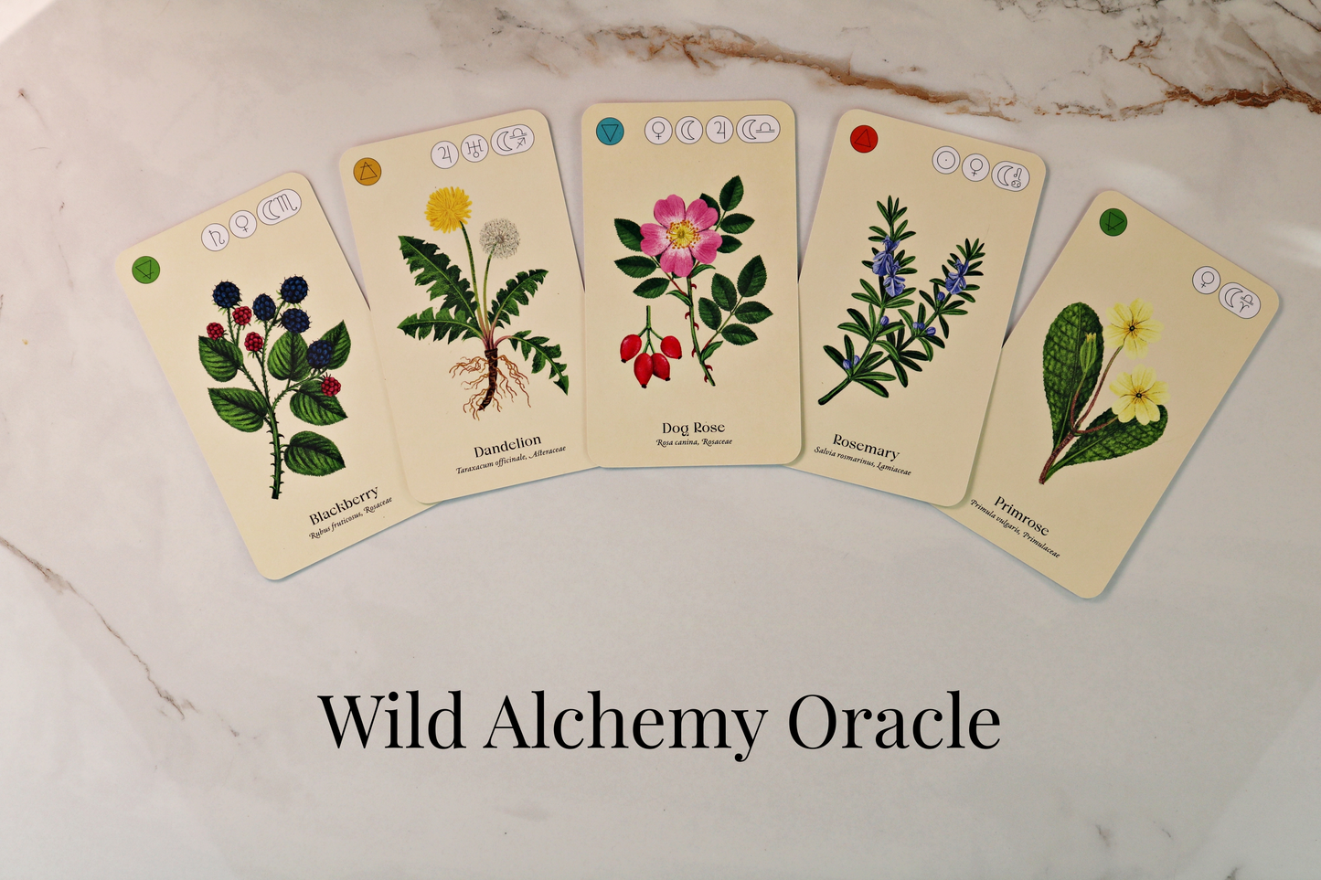 Nature / Earth / Animals Deck Reading