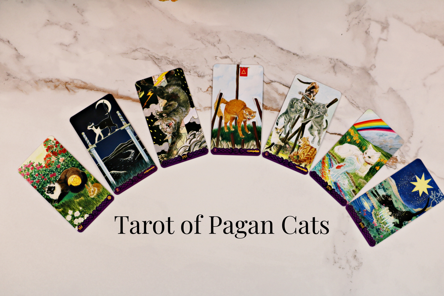 Classic / Traditional Deck Tarot Reading